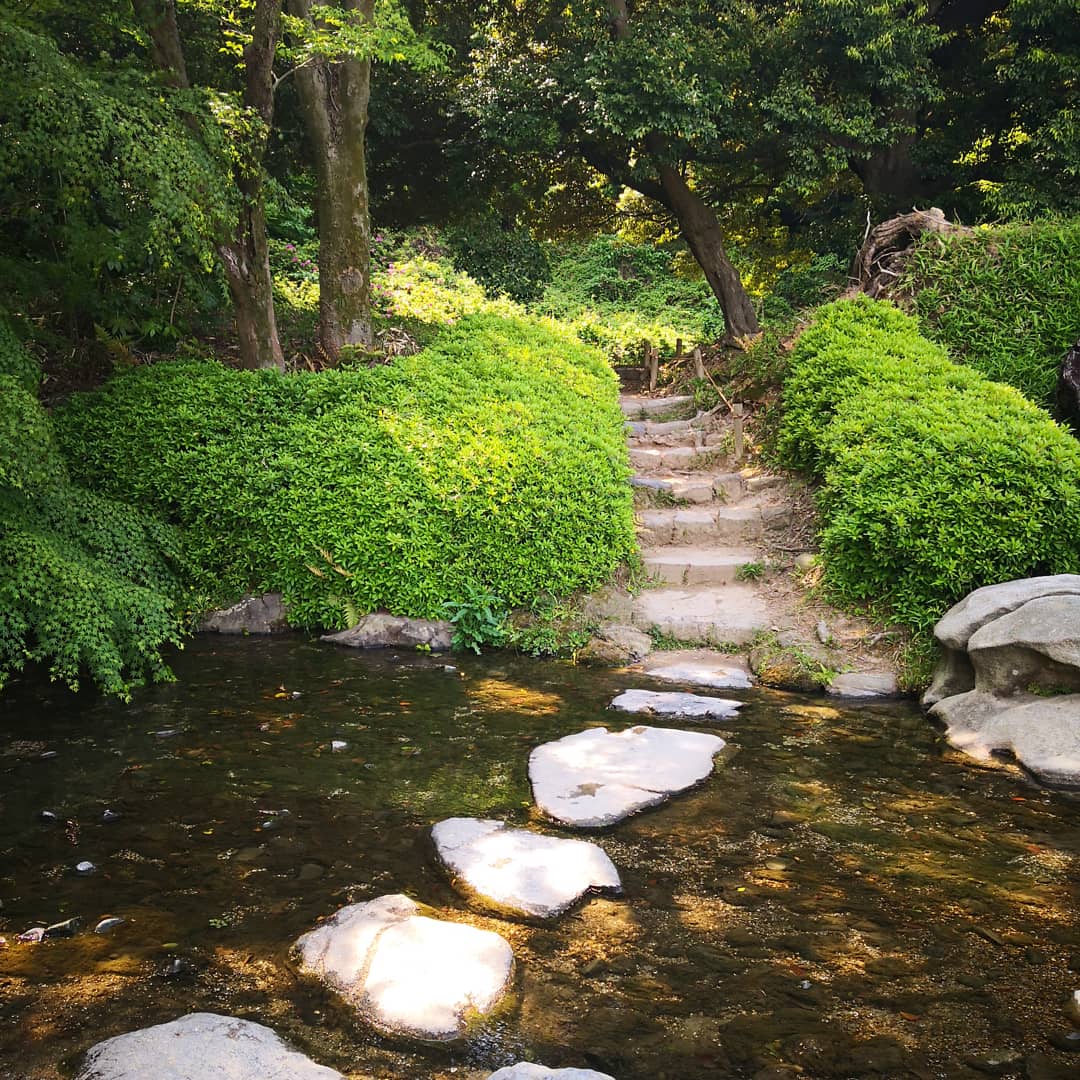 Frustrations and Realizations