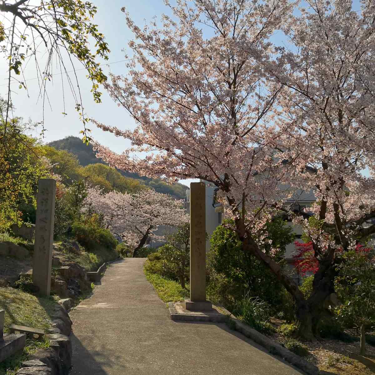 No Men Enter, No Men&nbsp;Leave